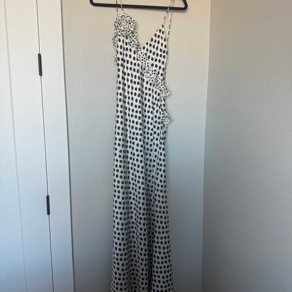 ZARA Polka Dot Maxi Dress - image 6