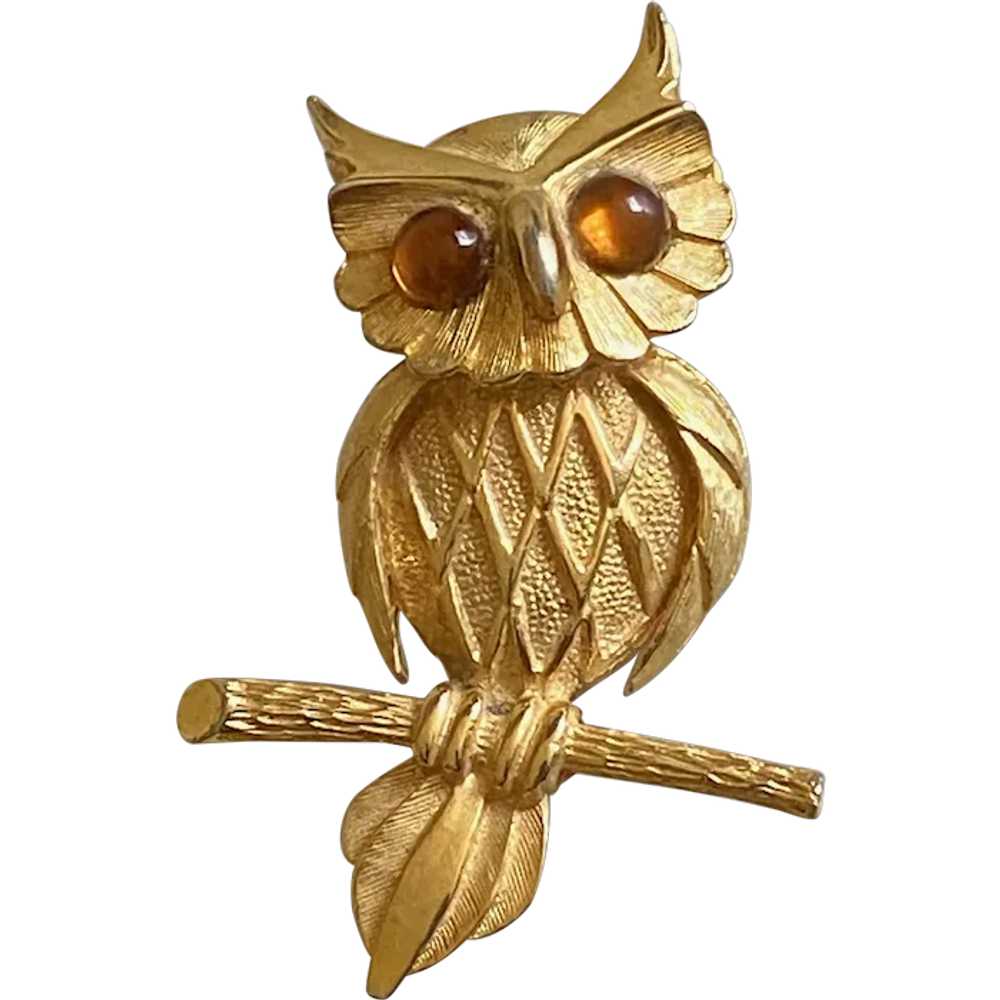 Vintage Goldtone Owl Pin / Brooch - image 1