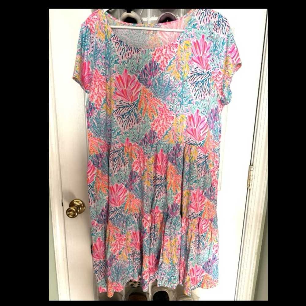 Lilly Pulitzer dress - image 1