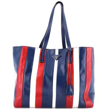 PRADA Baiadera Tote Calfskin Medium - image 1