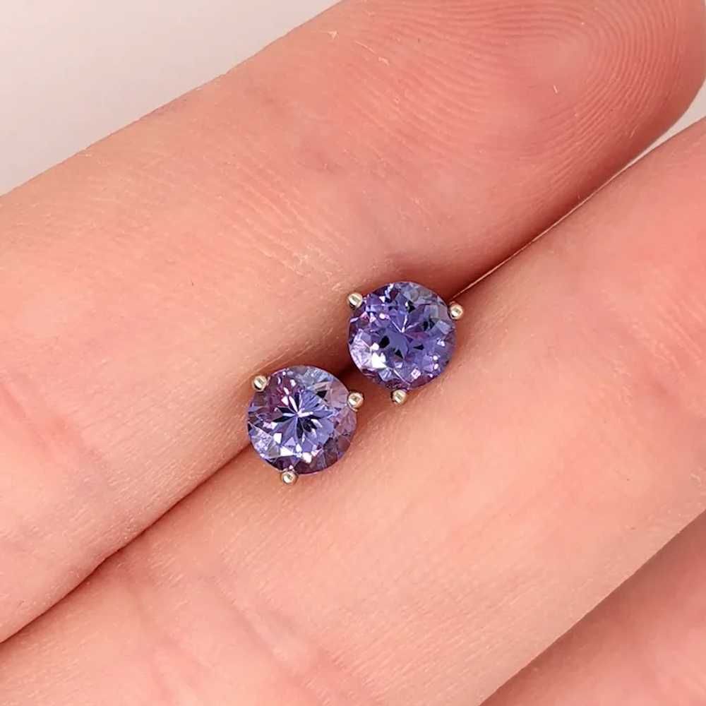 Tanzanite Martini Solitaire Stud Earrings in Soli… - image 3