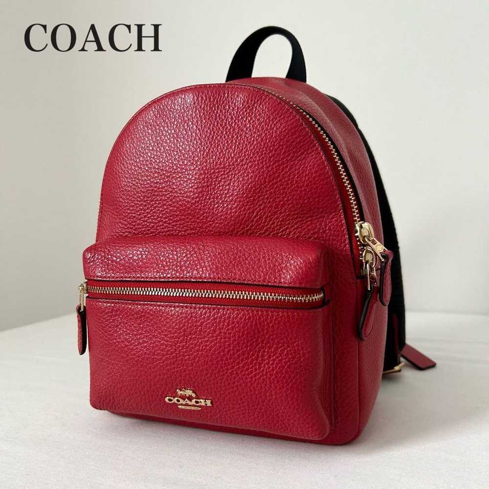 Excellent Condition COACH Backpack Mini Leather R… - image 1