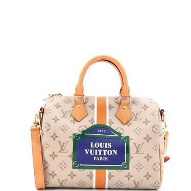 Louis Vuitton Cloth handbag