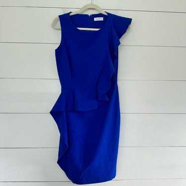 Calvin Klein Women’s 4 Royal Blue Royal Career Wea