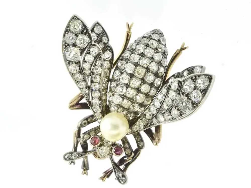 Antique Diamond Large Wasp Brooch French, c. 1840 - image 11