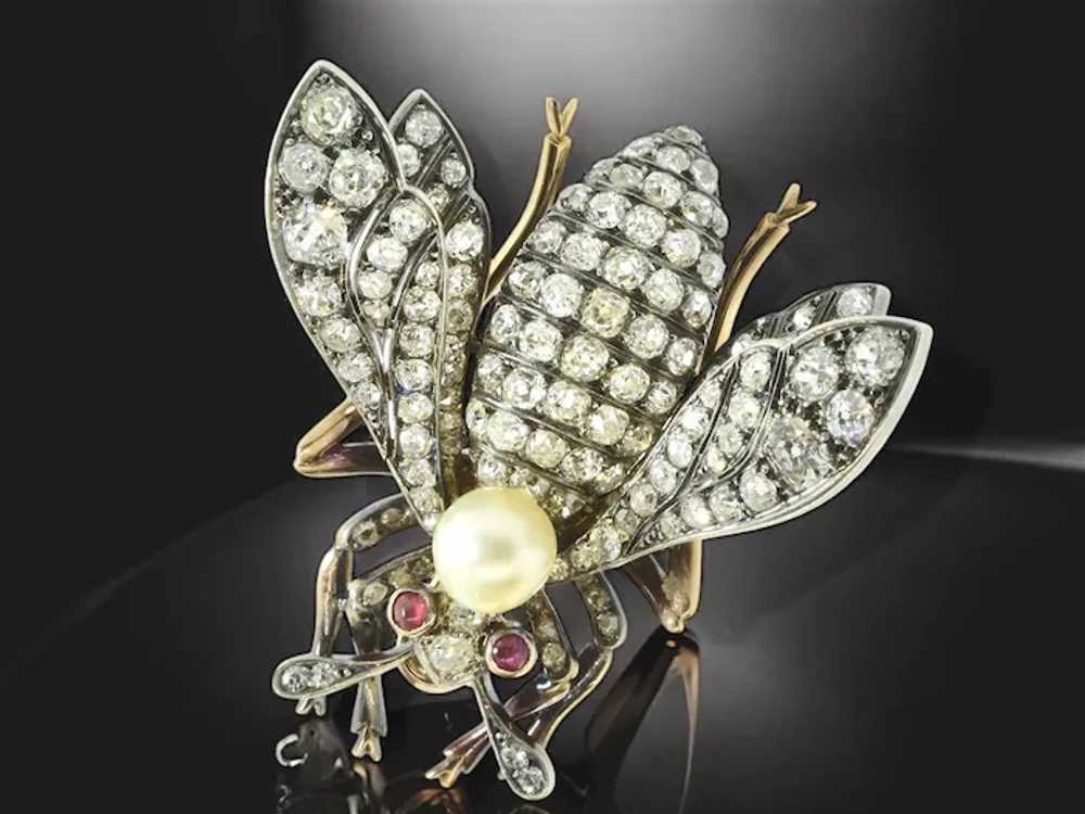 Antique Diamond Large Wasp Brooch French, c. 1840 - image 5