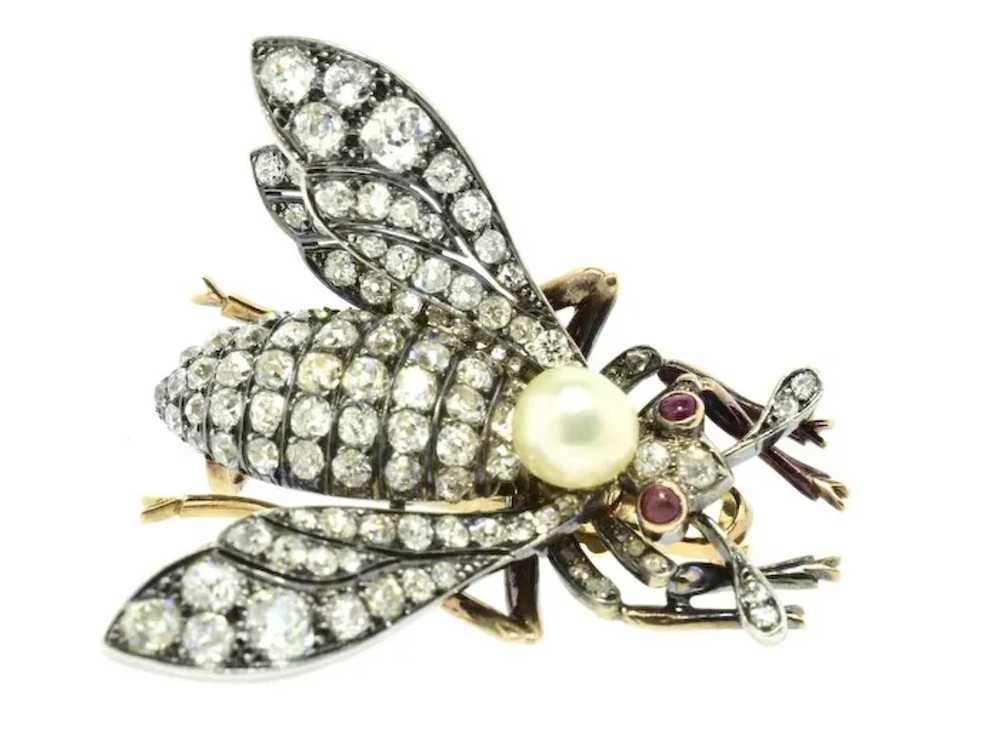 Antique Diamond Large Wasp Brooch French, c. 1840 - image 6