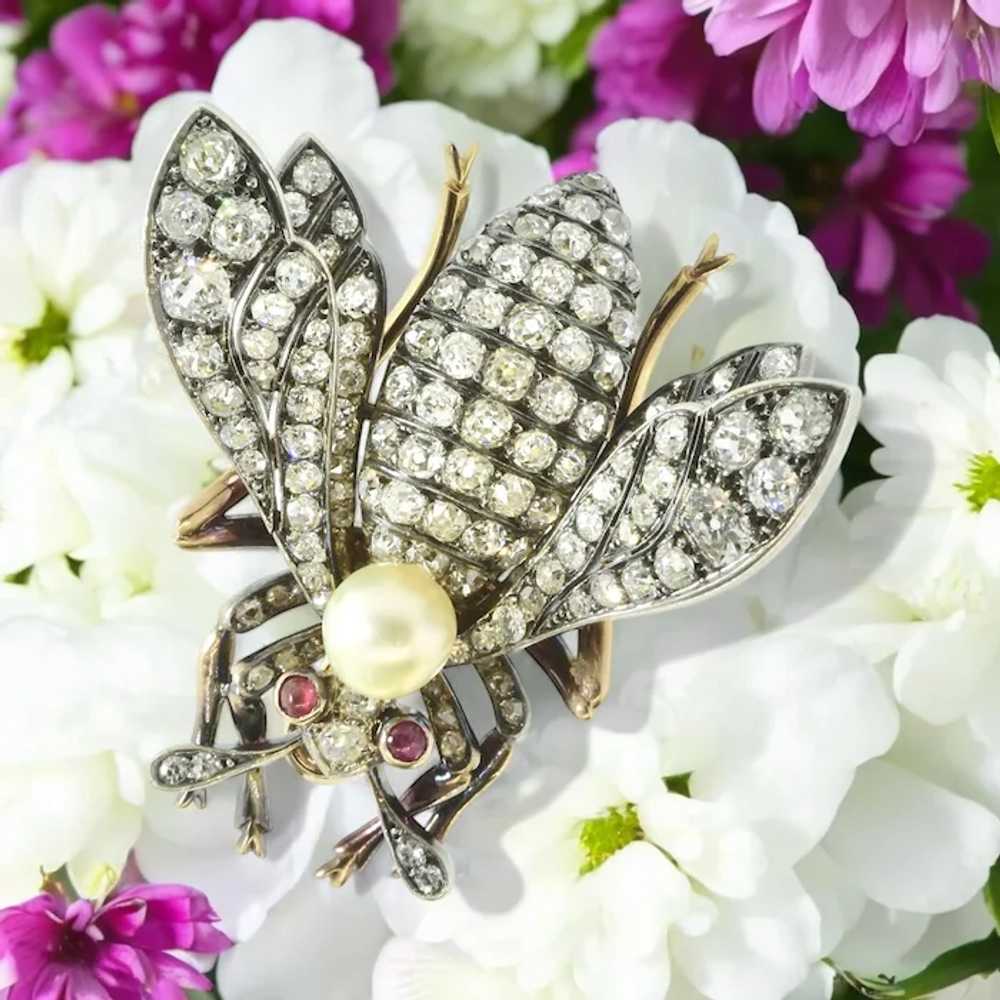 Antique Diamond Large Wasp Brooch French, c. 1840 - image 7