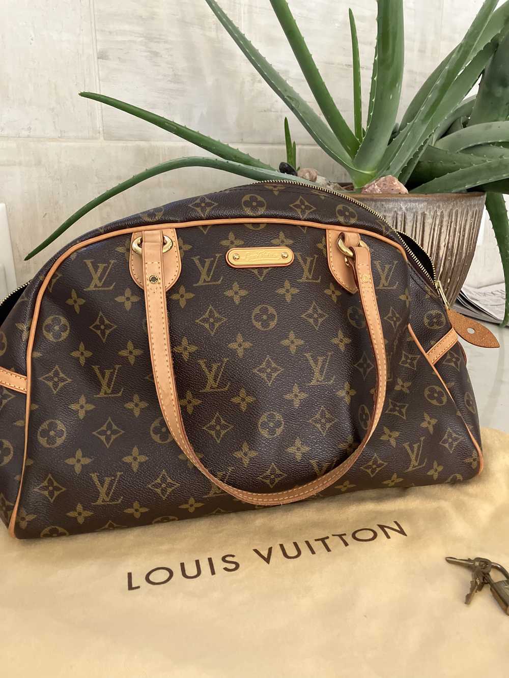 Authentic Louis Vuitton handbag - image 1