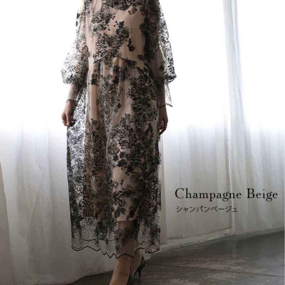 Champagne beige floral embroidered sheer long dre… - image 1