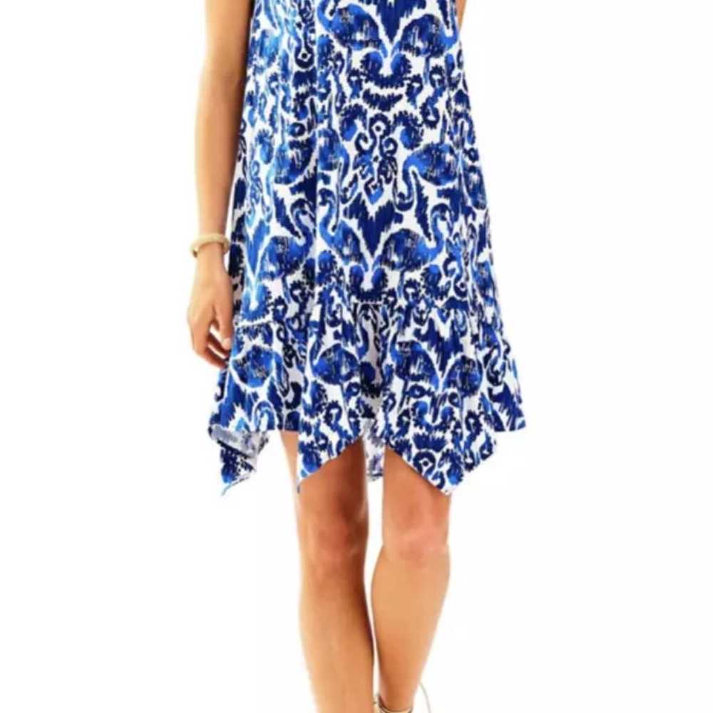 Lilly Pulitzer Dress - image 7