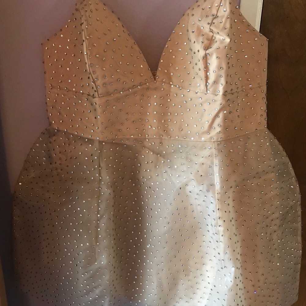 Plus size rhinestone nude dress 2x - image 10