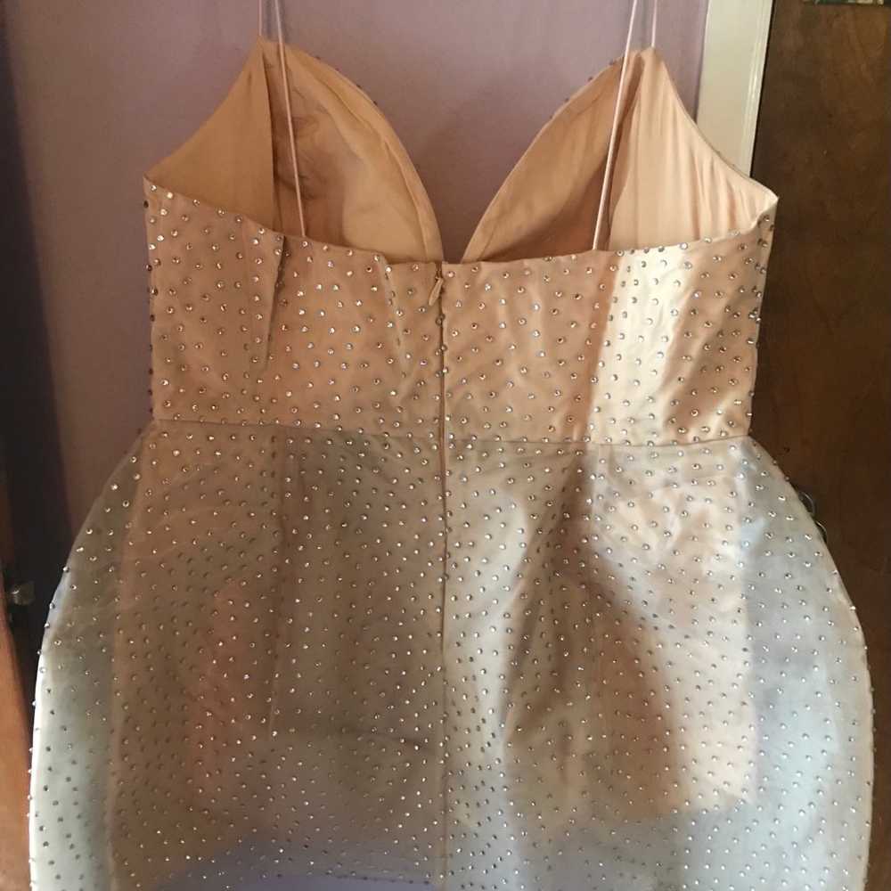 Plus size rhinestone nude dress 2x - image 11