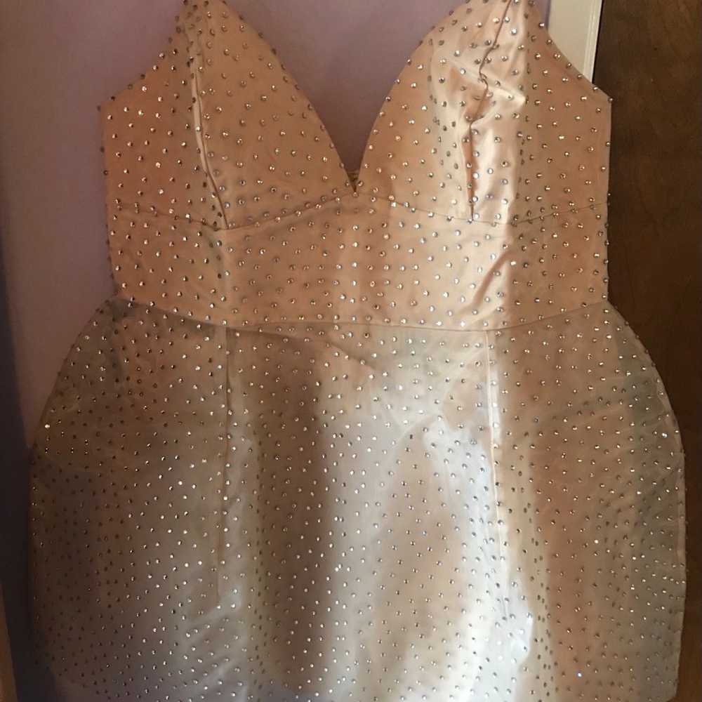 Plus size rhinestone nude dress 2x - image 12