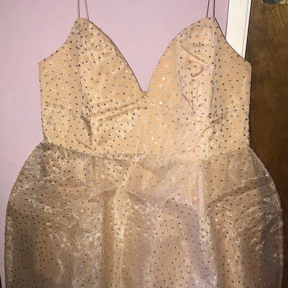 Plus size rhinestone nude dress 2x - image 5