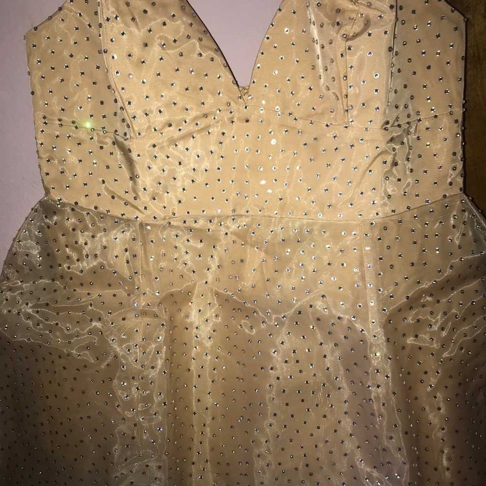 Plus size rhinestone nude dress 2x - image 6