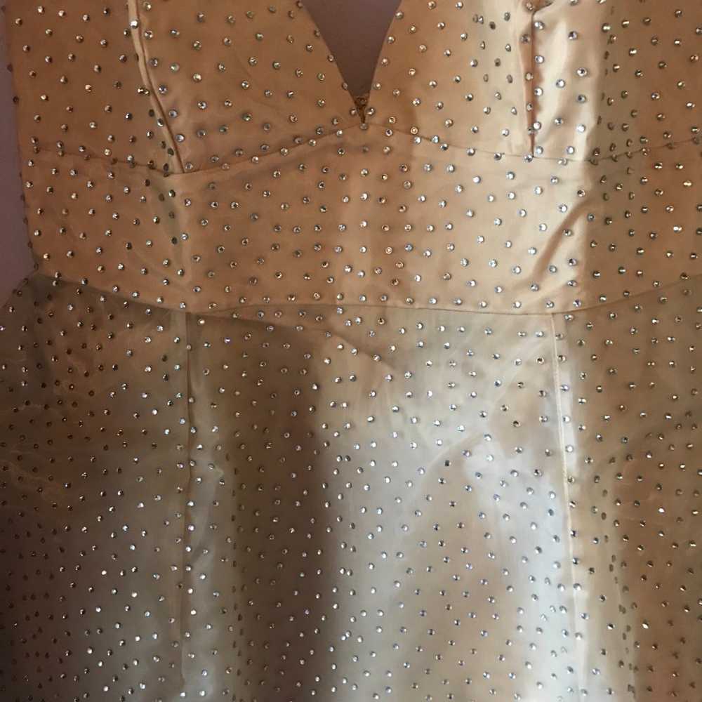 Plus size rhinestone nude dress 2x - image 9