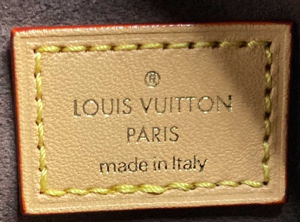 Louis Vuitton Bum Bag Monogram Canvas Mini - image 6