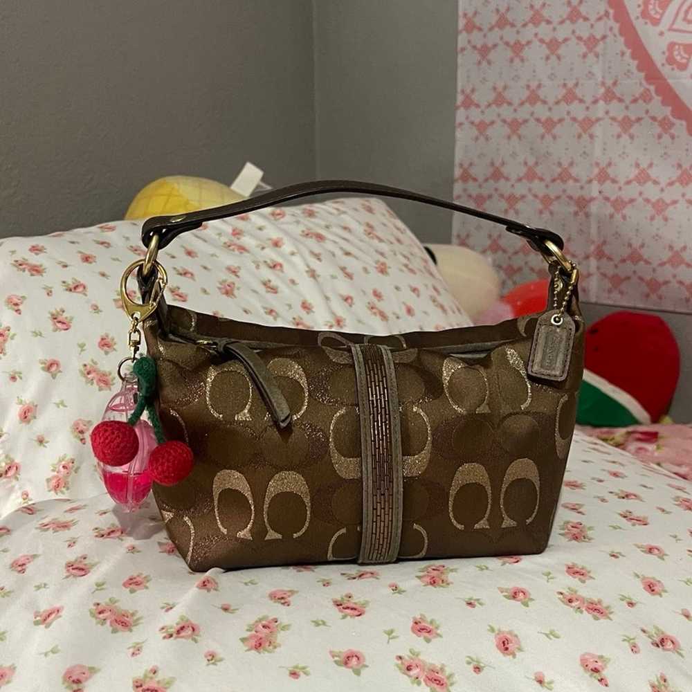 Brown Coach bag - image 1