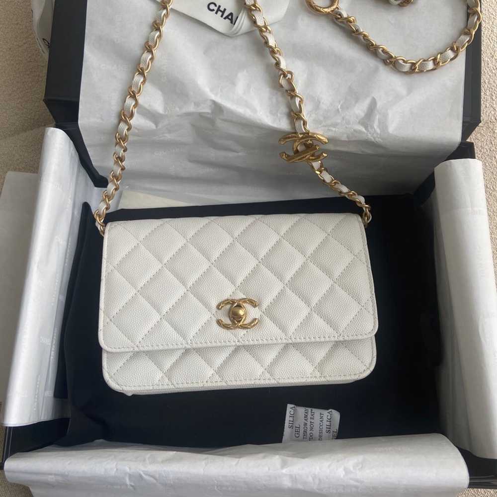 Chanel Crossbody Bags - image 1