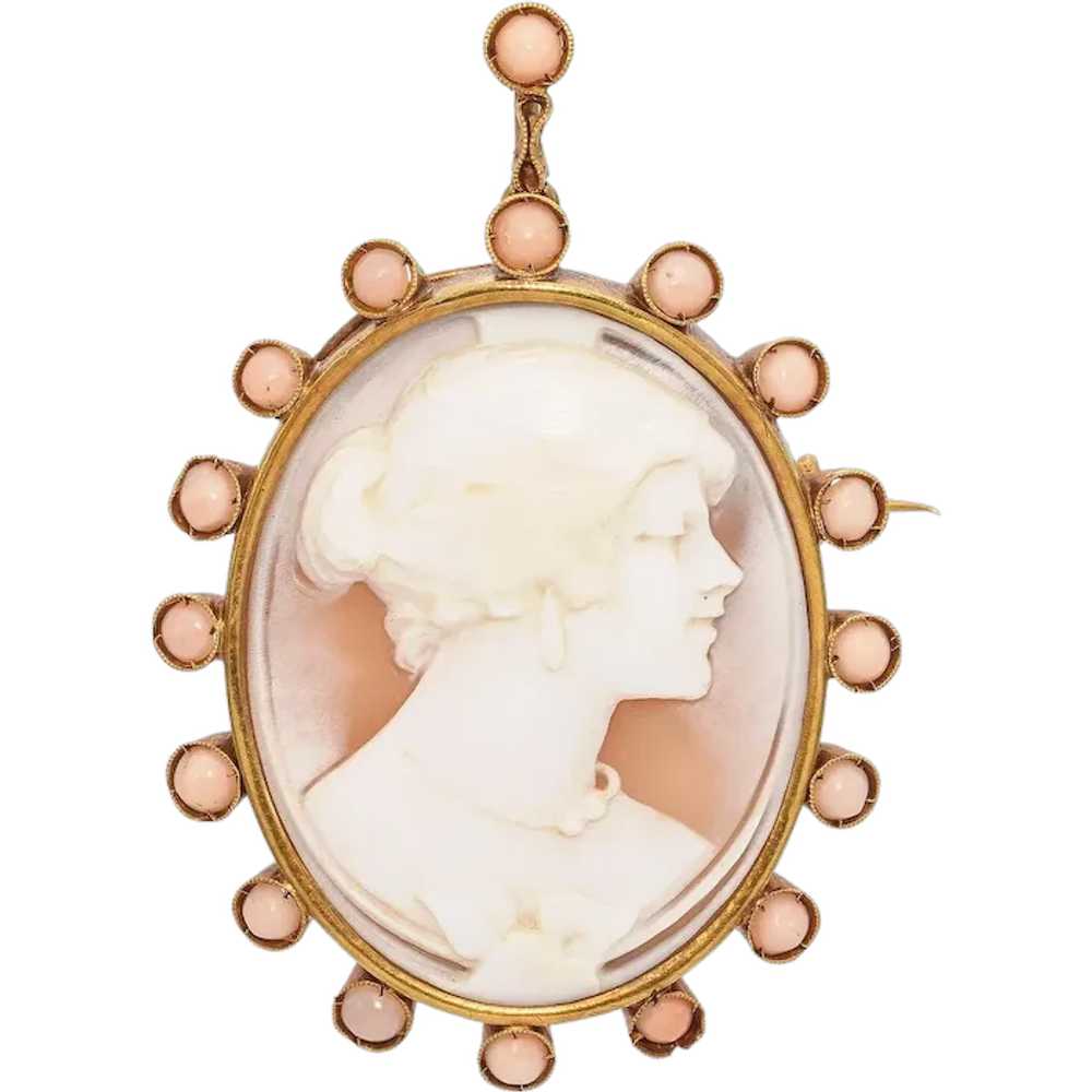 Antique Yellow Gold Cameo Shell & Coral Oval Broo… - image 1