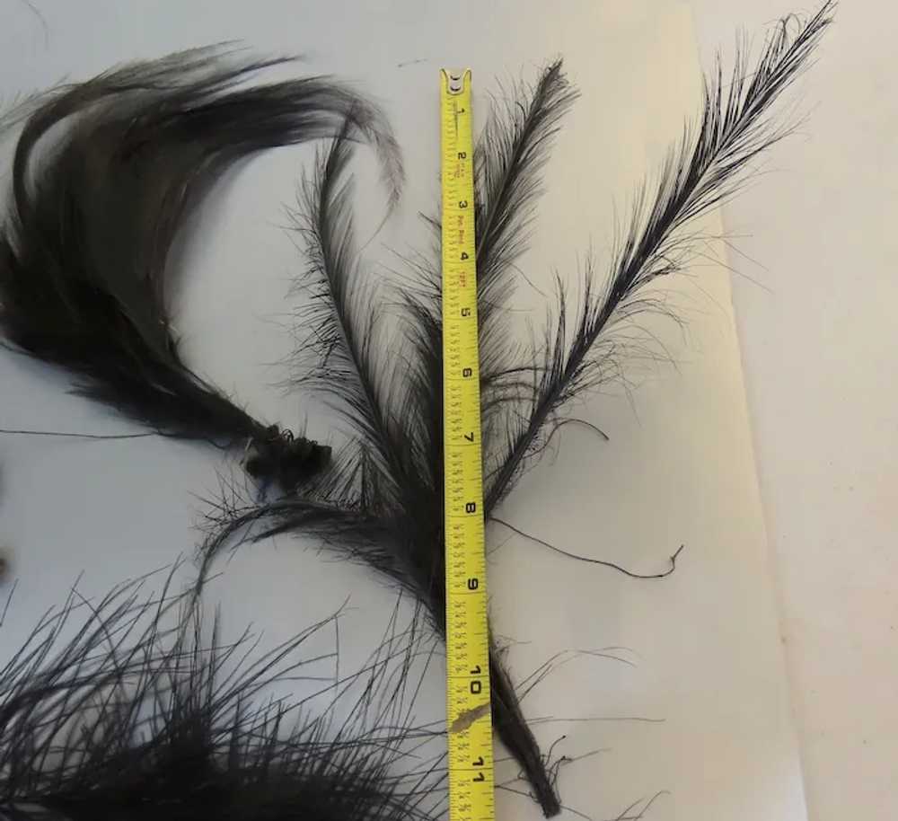 9 x Vintage Ostrich Feathers Millinery Dolls Craf… - image 5