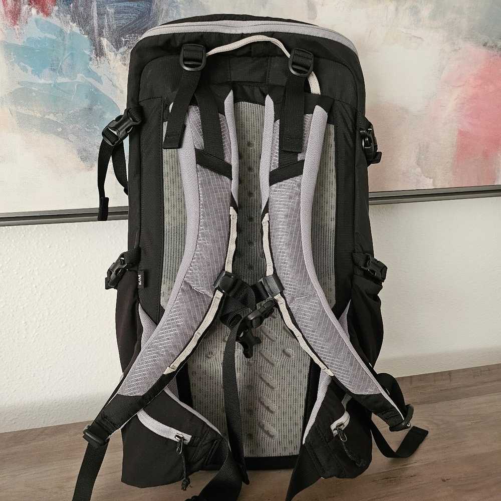 Patagonia backpack - image 3