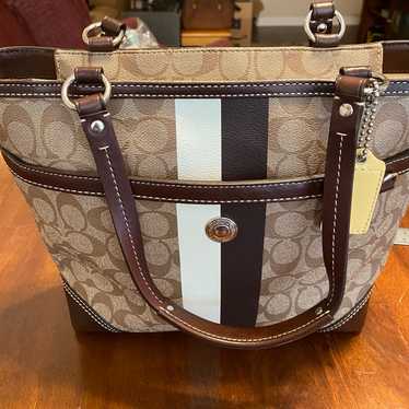 Coach Signature Stripe Multicolor selling Canvas and Metallic Leather Tote Bag F17474