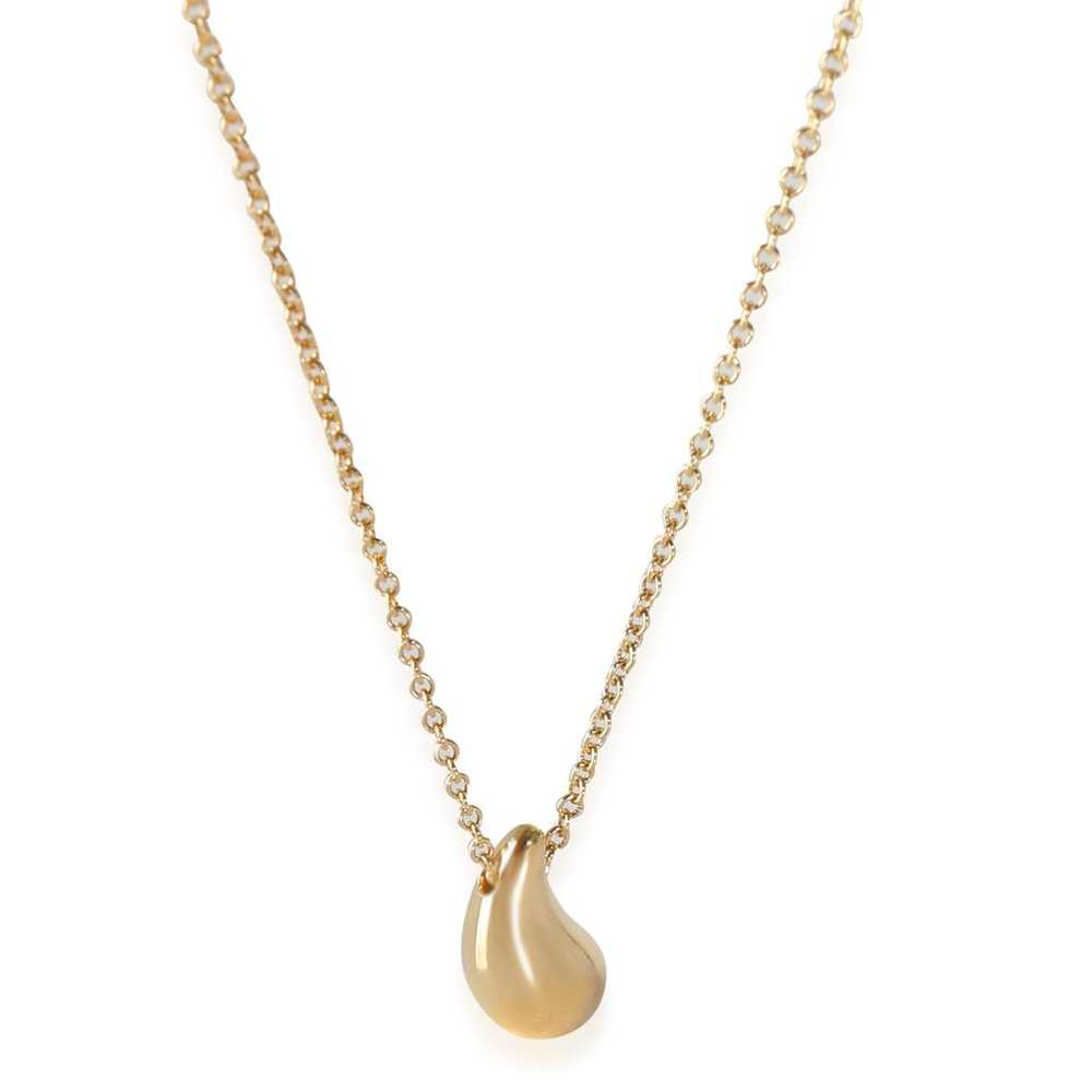 Tiffany & Co Necklace - image 1