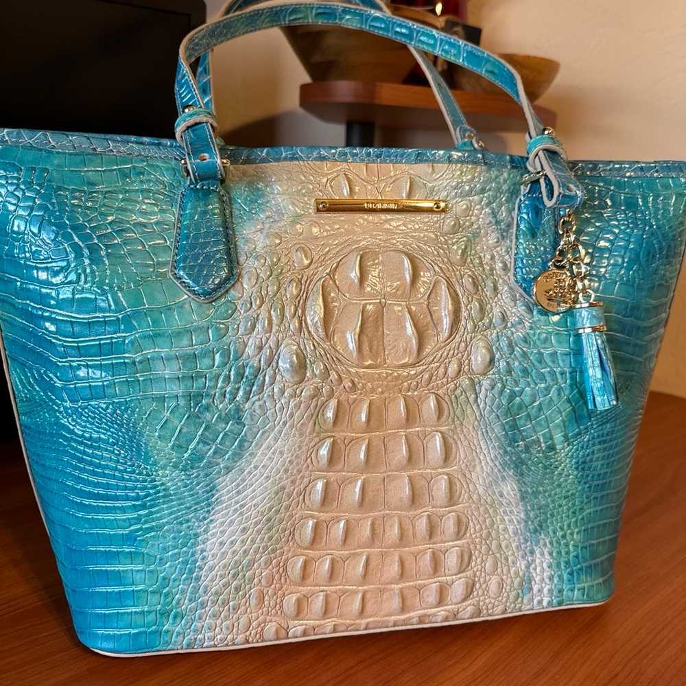 Brahmin “Asher” in Ocean Ombre - image 8