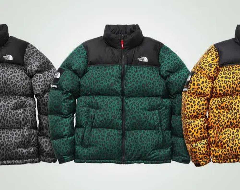 Supreme × The North Face Supreme The North Face L… - image 10