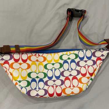 Coach good fanny pack(pride edition)