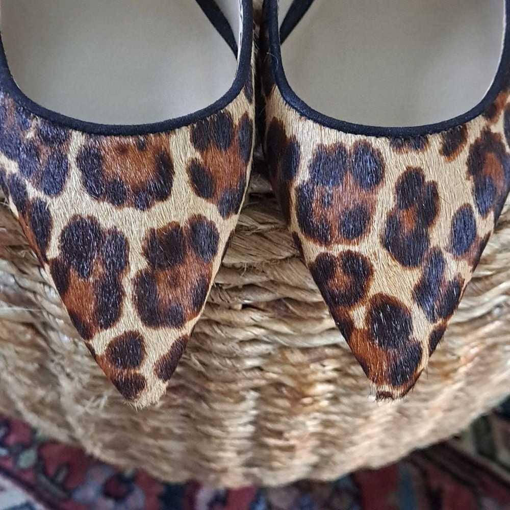 Ann Taylor Womens Leopard Print Calf Hair Kitten … - image 10