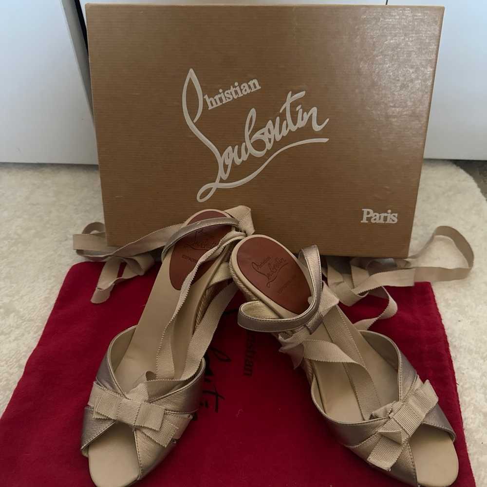 Christian Louboutin shoes - image 1