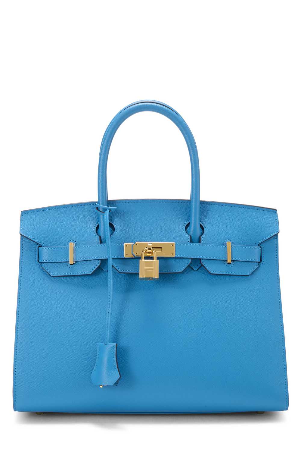 Blue Frida Madame Birkin 30 - image 1