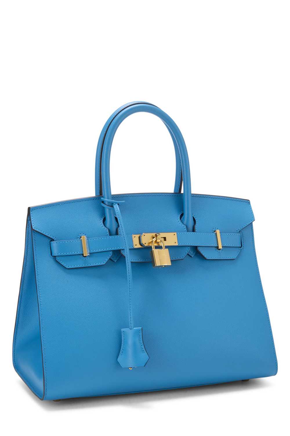 Blue Frida Madame Birkin 30 - image 2