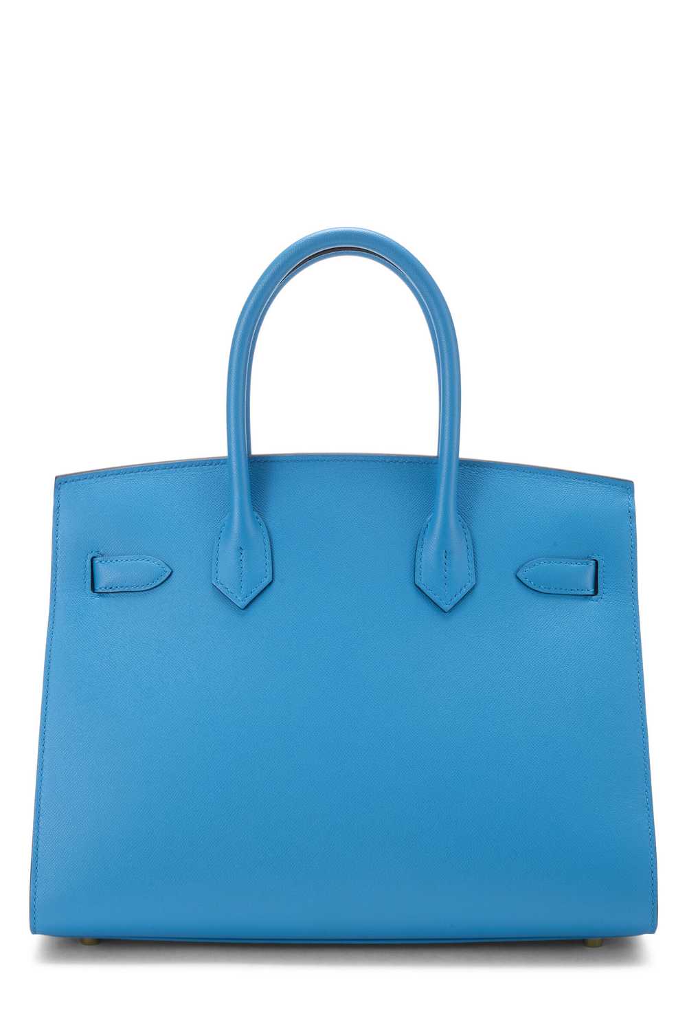 Blue Frida Madame Birkin 30 - image 4