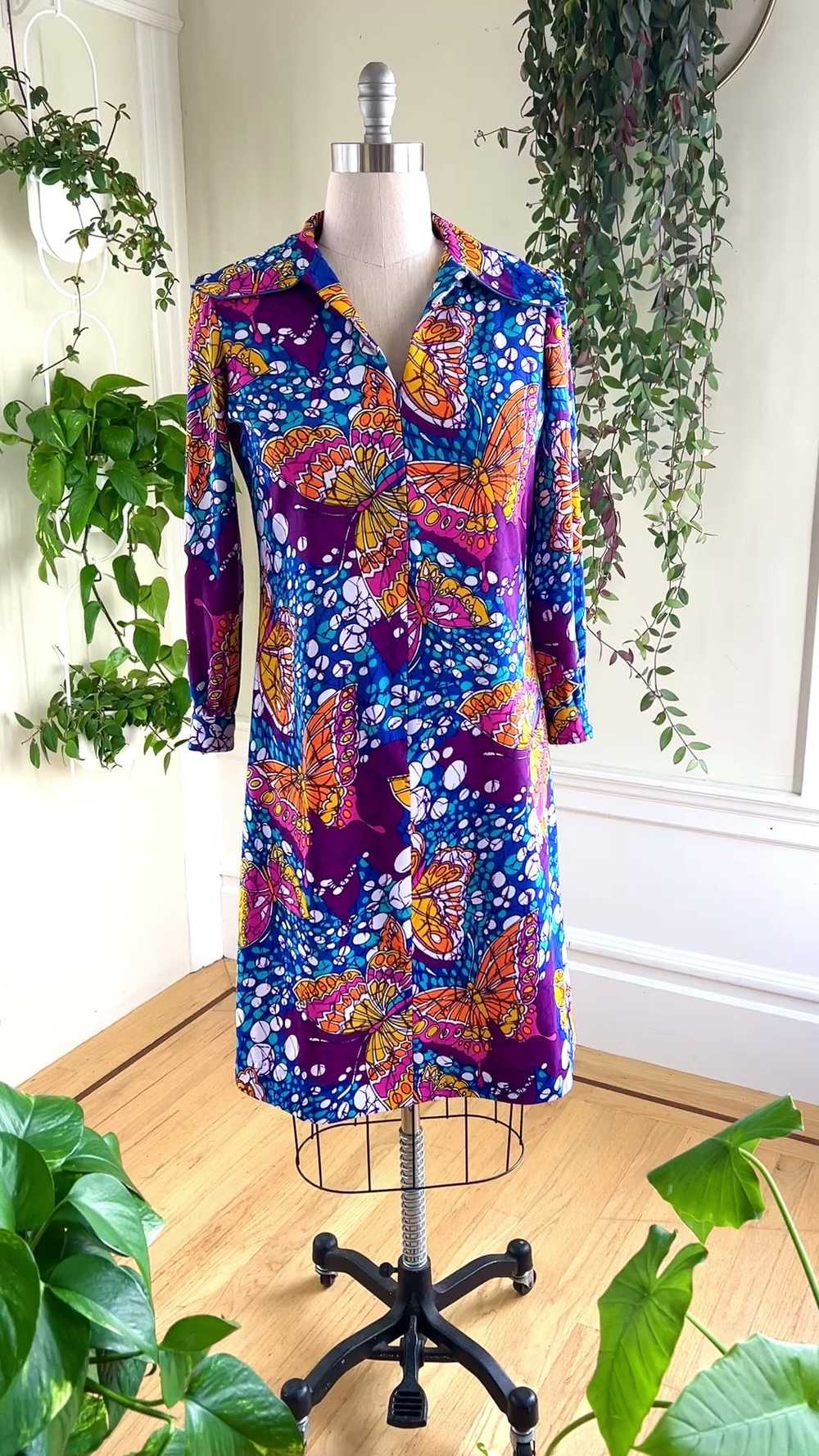 1970s Butterfly Novelty Print Shift Dress | large… - image 3