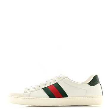 GUCCI Calfskin Crocodile Web Mens Ace Sneakers 9 W