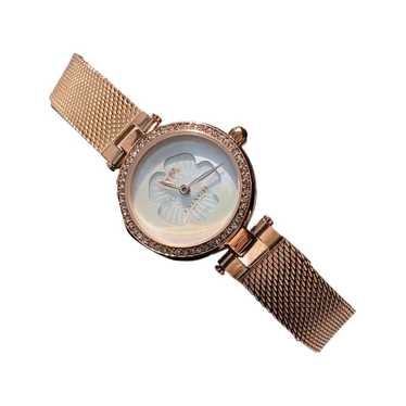 Coach Watch - image 1