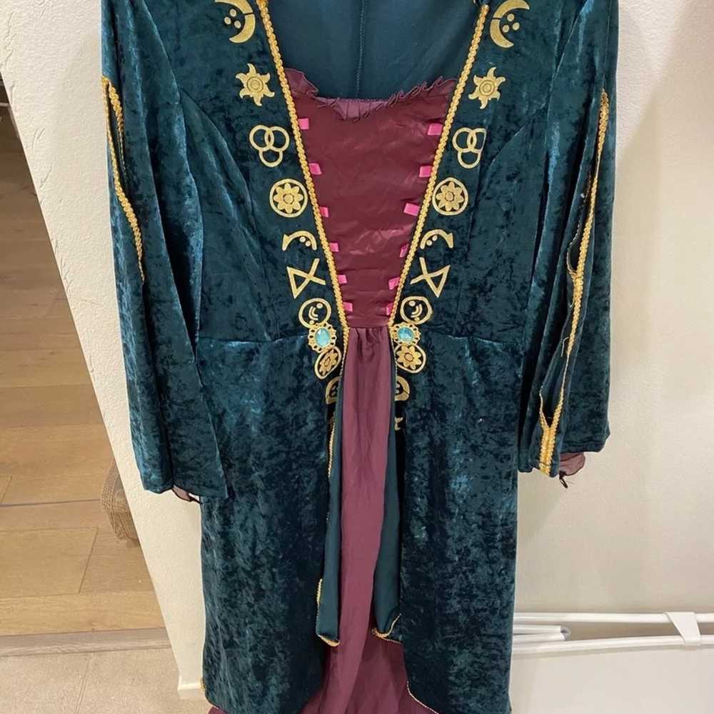 Winifred Sanderson Costume, Medieval Witch Dress … - image 1