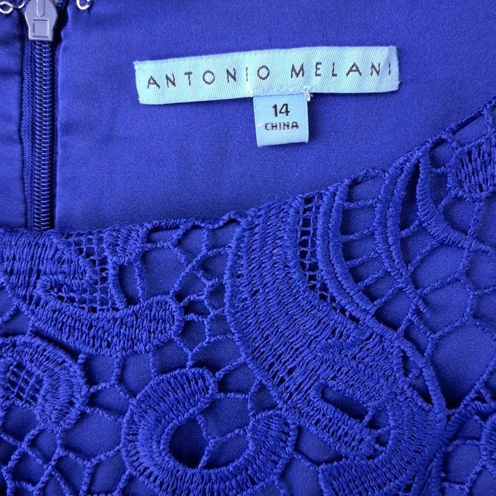 Antonio Melani Royal Blue Lace Sleeve Sheath Dres… - image 6