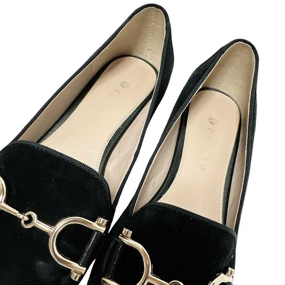 Brand new ✨ Carino 23cm bit pumps pointed toe sue… - image 5