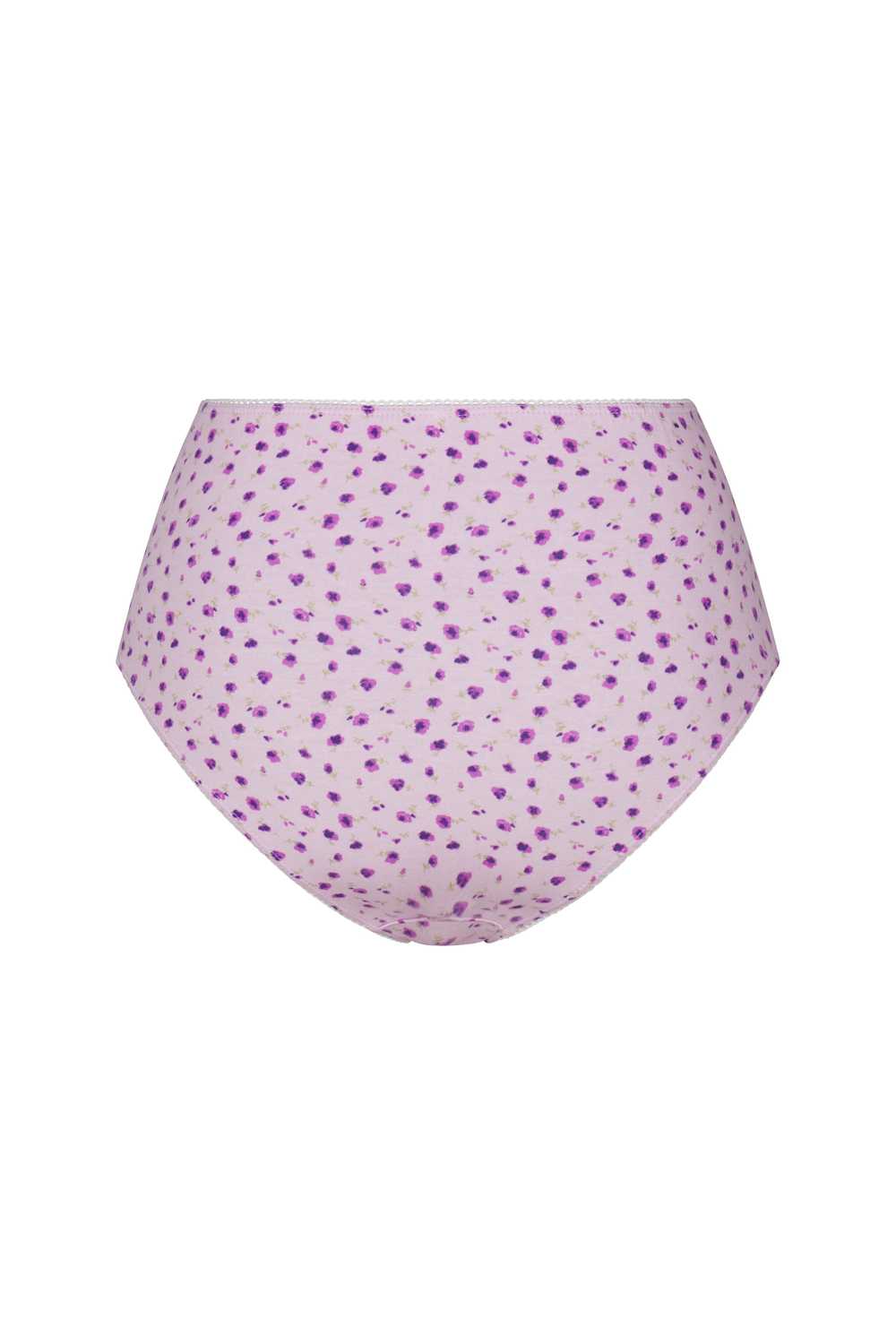 Rat Boi HIGH RISE UNDERWEAR IN IRIS - image 9