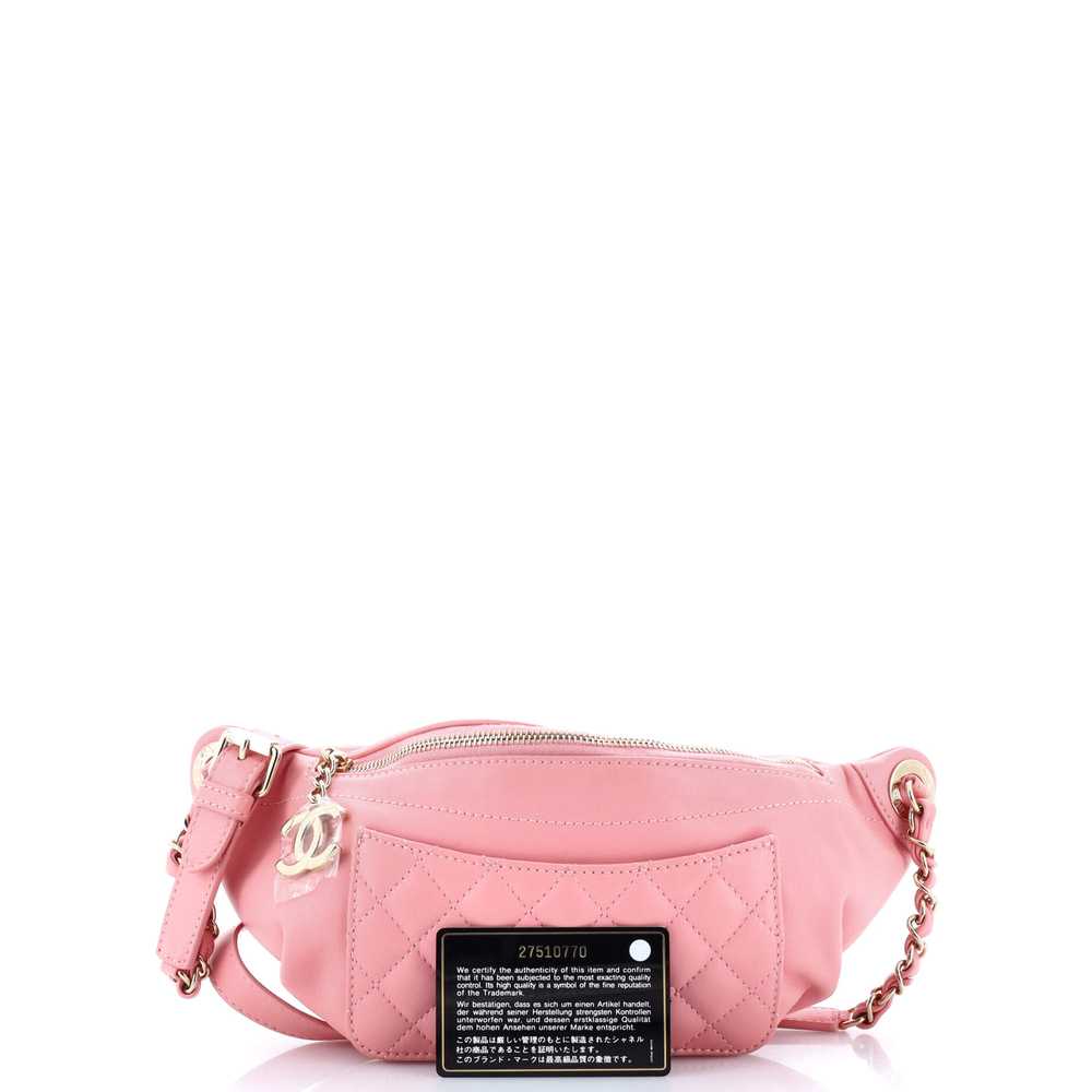 CHANEL Bi Classic Waist Bag Quilted Lambskin - image 2