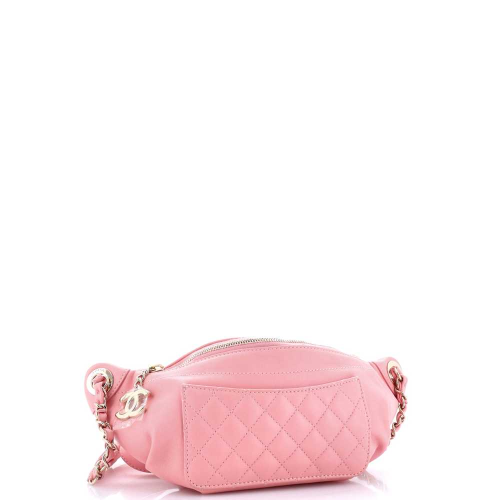 CHANEL Bi Classic Waist Bag Quilted Lambskin - image 3