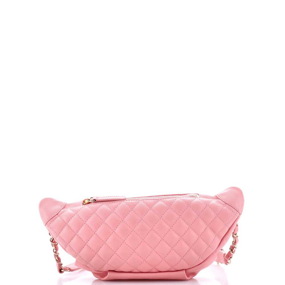 CHANEL Bi Classic Waist Bag Quilted Lambskin - image 4