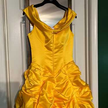 Beauty and the Beast Belle Gown - image 1