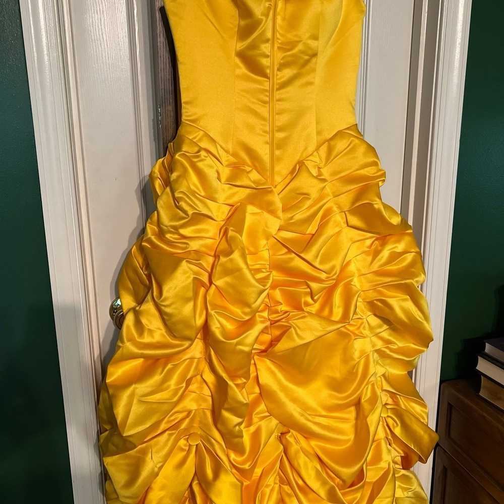 Beauty and the Beast Belle Gown - image 2