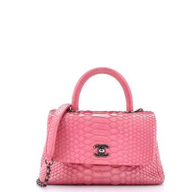 Chanel Python handbag